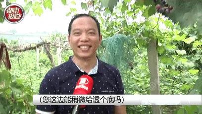 DƬ